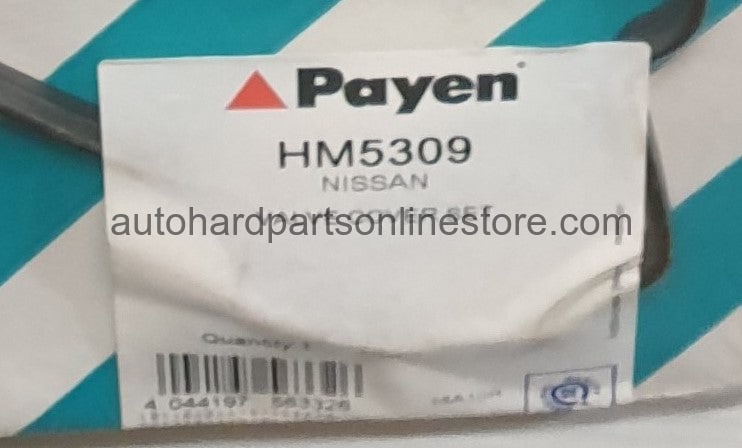 Payen Valve Cover Gasket Kit-HM5309