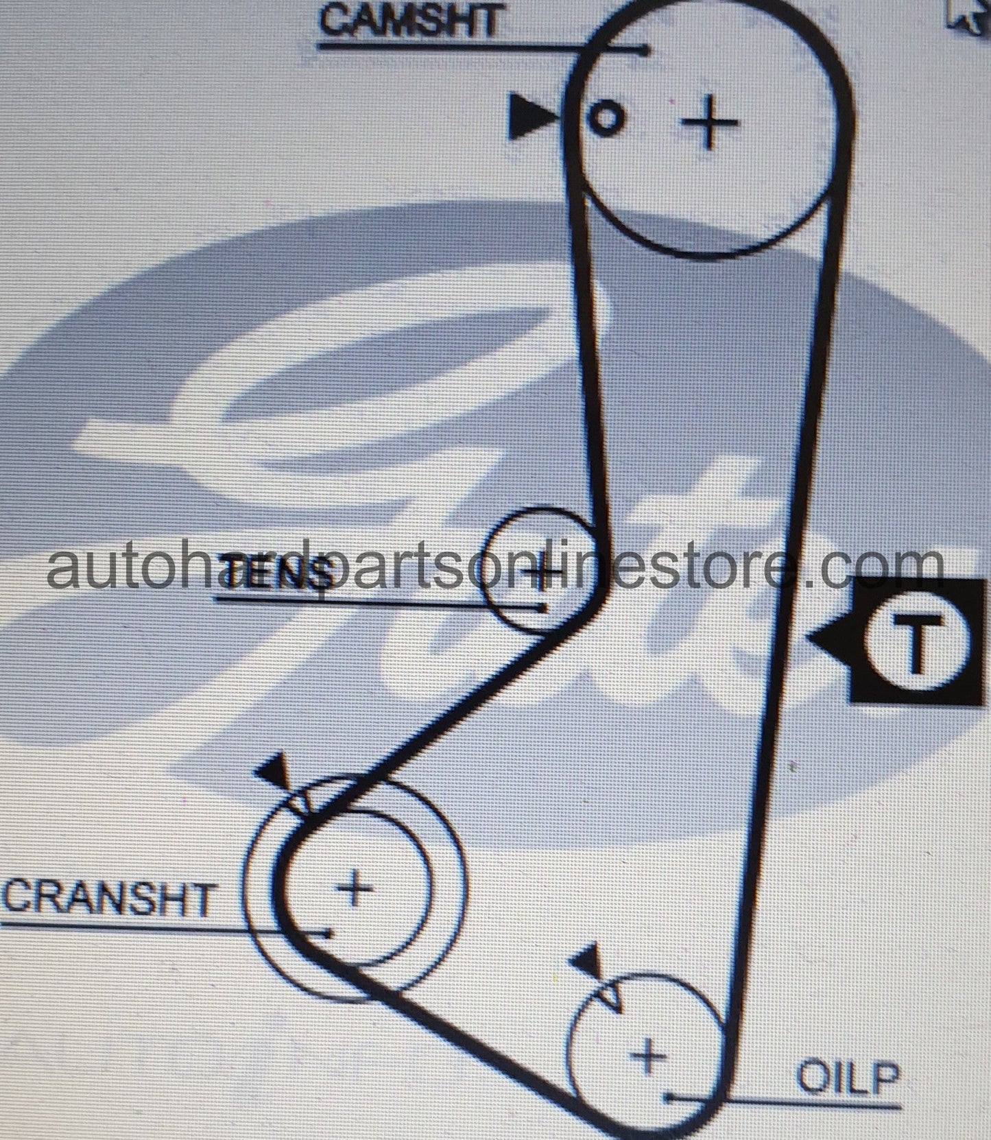 Gates Timing Belt-HTN T093